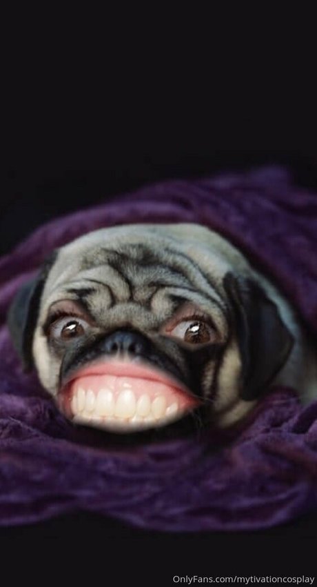 bbc cheating onlyfans sexy naked photo