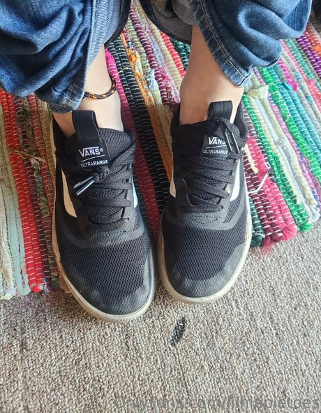 lilhippietoes pornstar sexy archive