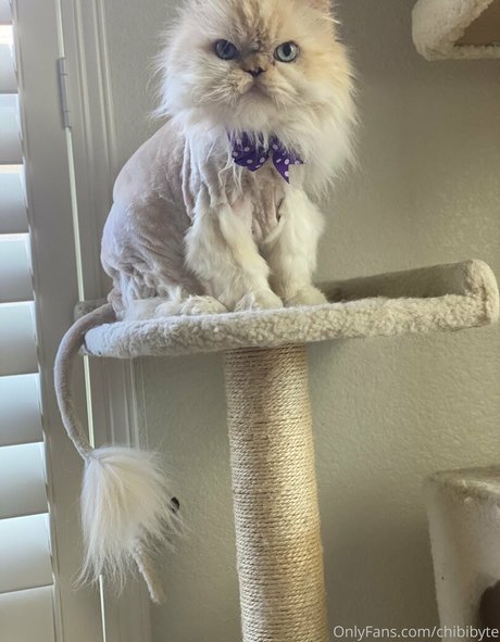 teen blowjob onlyfans adult images