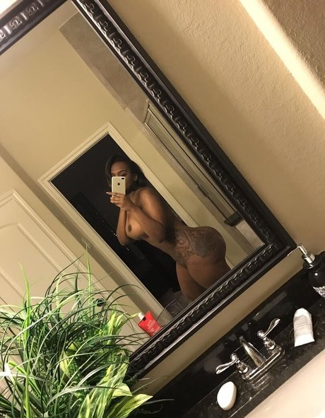 msdamn exclusive star galleries