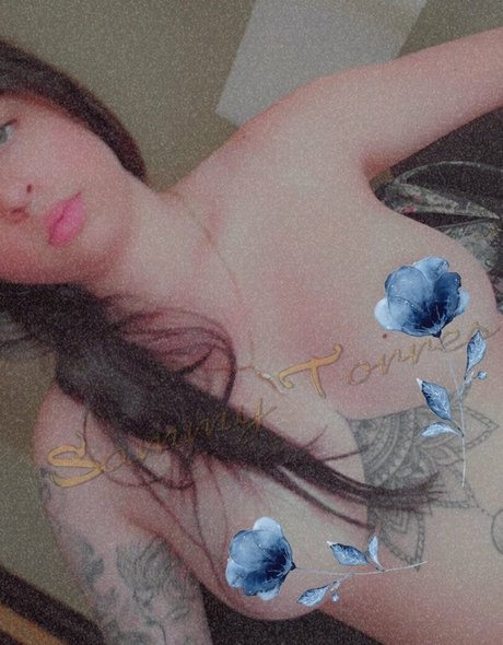 officialsammytorres top pornstar archive