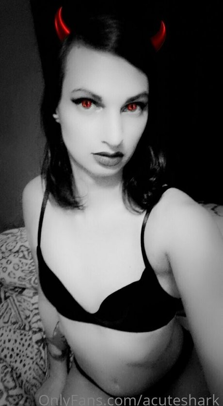 acuteshark nice star picture