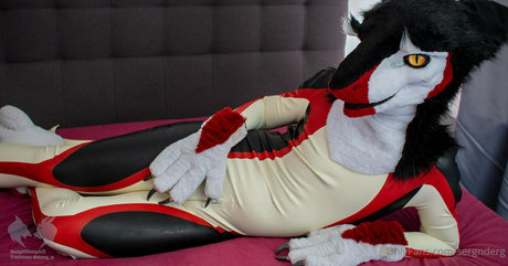 sergnderg star hot image