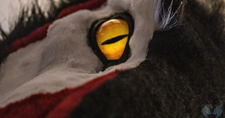 sergnderg pornstar free picture