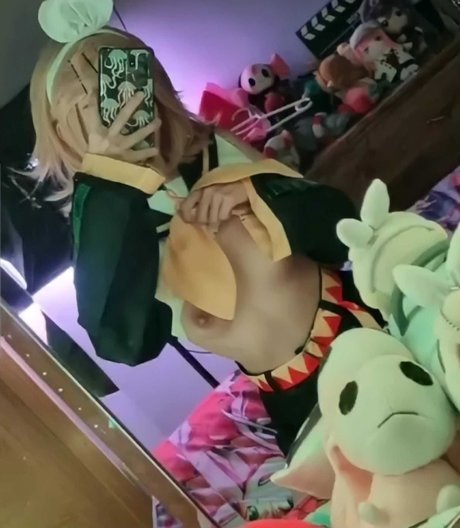 Hacchi Whitebear nice star images