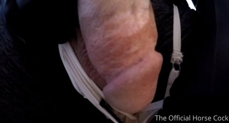 thick latina milf onlyfans hot sex pictures