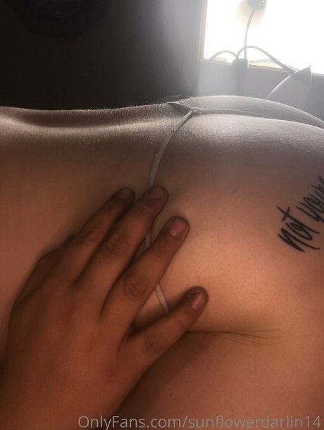 sunflowerdarlin14 star free photo