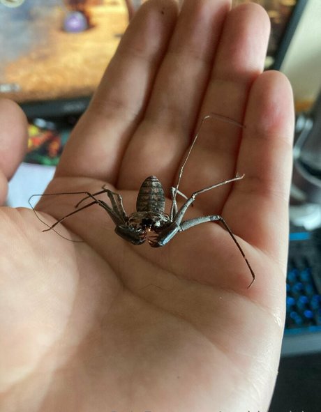 sushisquishy model art photos