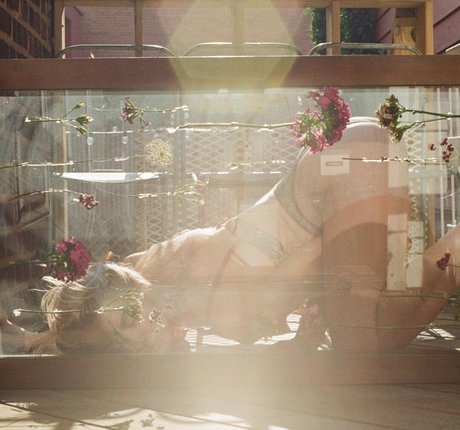 alittle vampy nudes pornstar picture