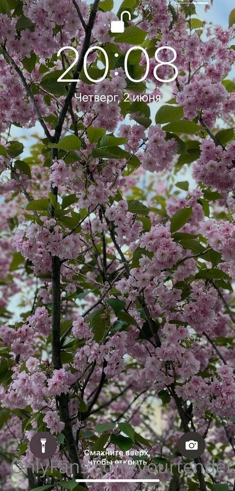 tenderalise sexy model img