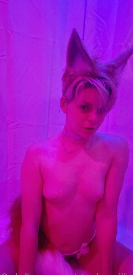 starkzzzilla model art archive