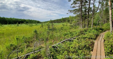 emberblazexxx best actress pic