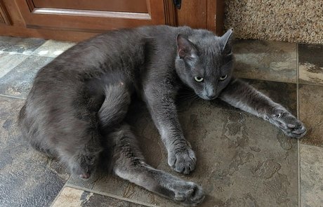 lukeylewdcario nude star photos