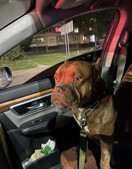 Sojourncouple free pornstar pictures