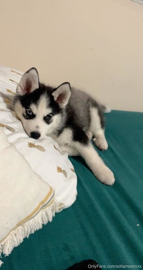 sofiamoonxxx star free pics