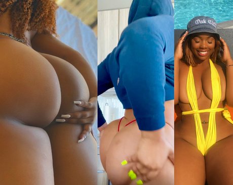 ravieloso star nice gallery