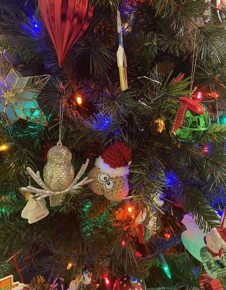 Jaclynn Crooks star erotic photo