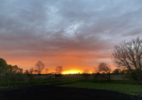 tobinedamfree model nude gallery