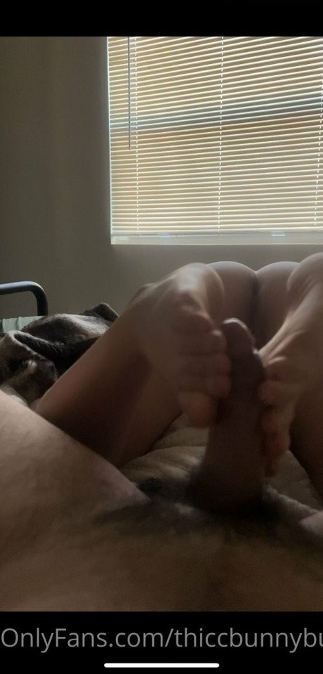 thepastryshop nude pornstar archive