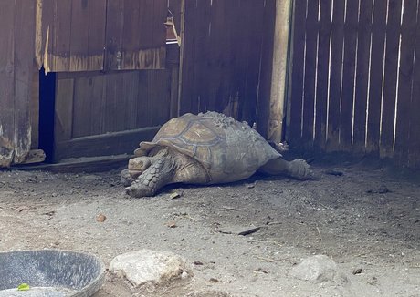 mature big tits onlyfans hot archive