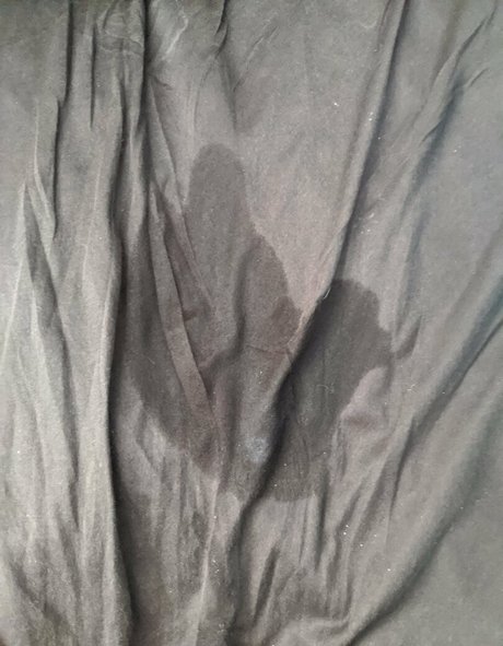 bbwdanibrooke best model archive