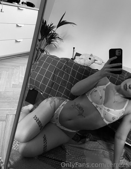 terrezic high quality model galleries