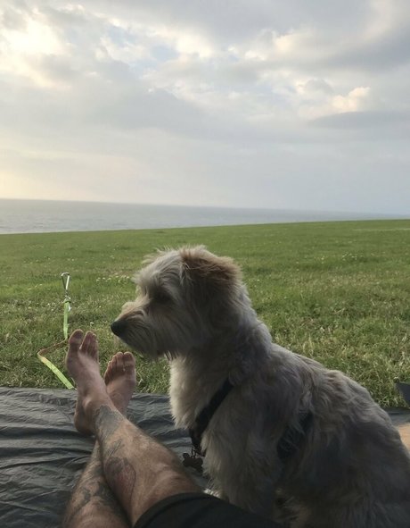 male feet uk pornstar xxx img