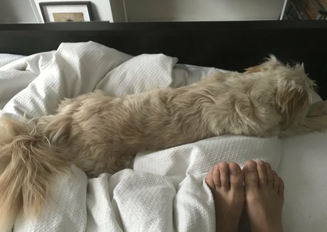 male feet uk exclusive model img