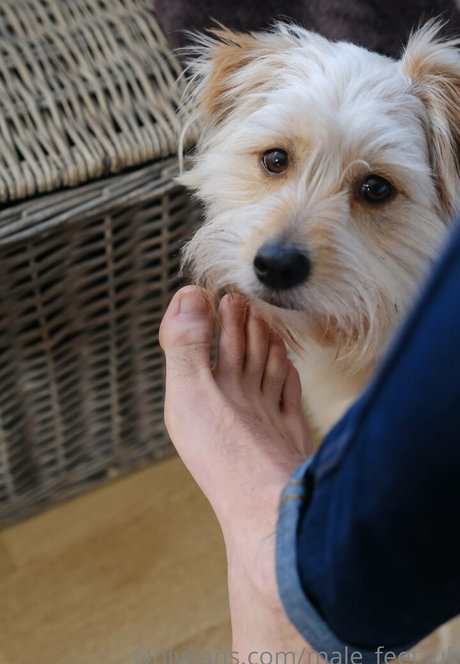 male feet uk model perfect img