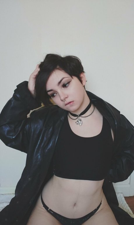 luciuskitten star perfect pic