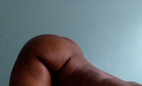 Bribunny star pretty photos