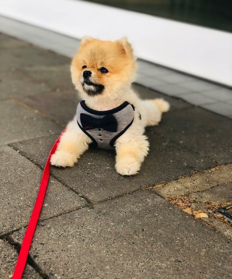 Maya Bulgarien pornstar sexy archive