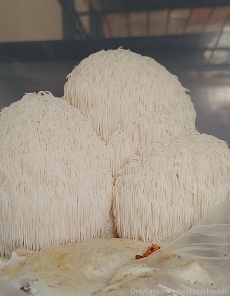 sexypsychedelic erotic pornstar pic