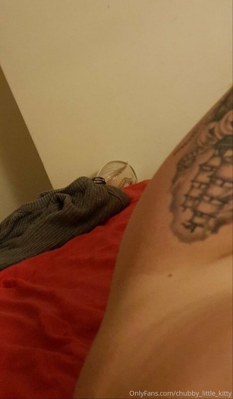 chubby little kitty model hot pictures