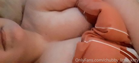 chubby little kitty exclusive star photos