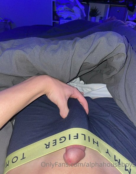 alphahouseboys star sex pictures