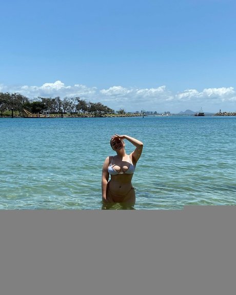 Scoutcohen art star galleries