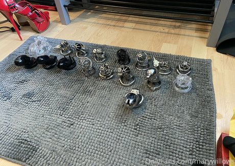 marywillows beautiful model photo