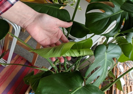 lunarouxfree model porn photos