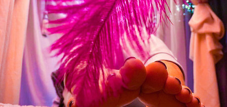 ticklebxtra hd pornstar galleries