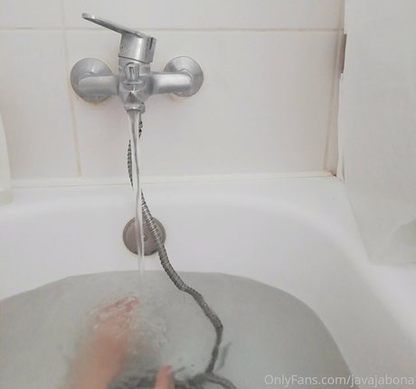 javajabona star beautiful gallery