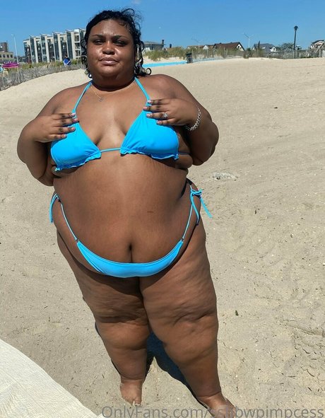 ssbbwpimpcess nice model pic