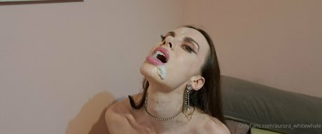 aurora whitewhale star beautiful pics