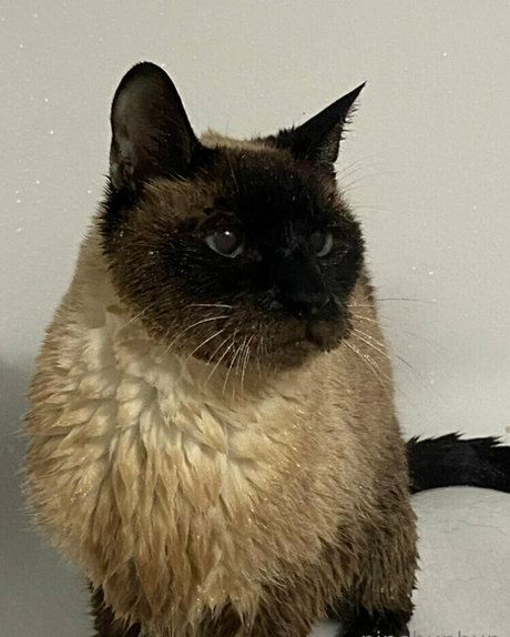 freebunbun model porn galleries