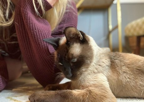 freebunbun art pornstar photos