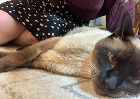 freebunbun erotic star archive