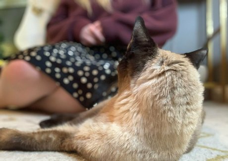 freebunbun model pretty images