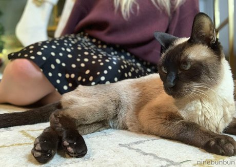 freebunbun high quality model pic