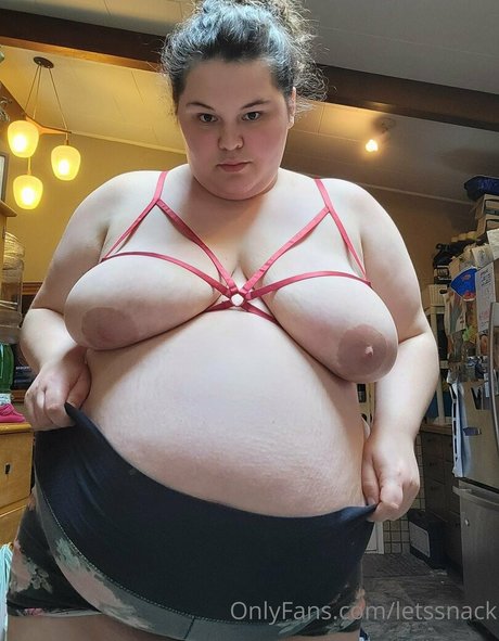 letssnack best model archive