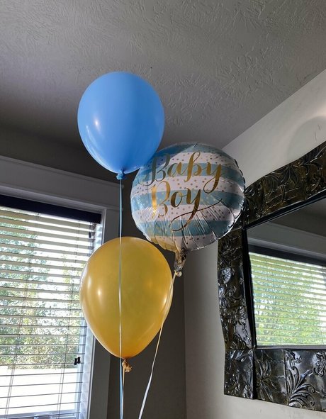 roseredwood hd model photos